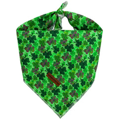 Bandana Elegant Little Tail para perro San Patricio, ideal para fotos.