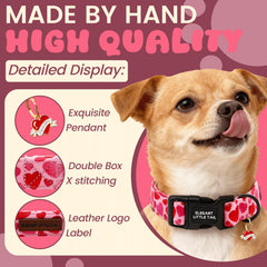Collar Elegant little tail con cierre rápido, ligero y seguro para perros pequeños