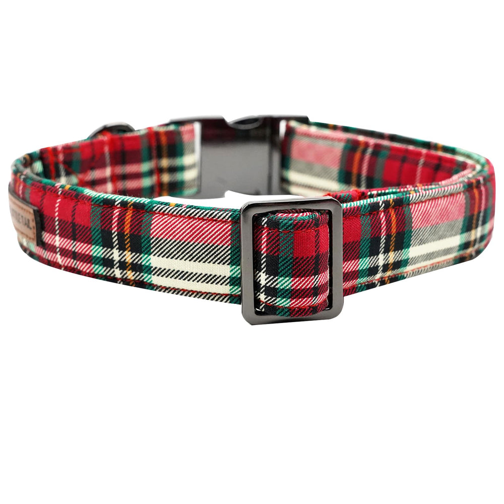 Collar Elegant little tail acabados resistentes y hebilla robusta.