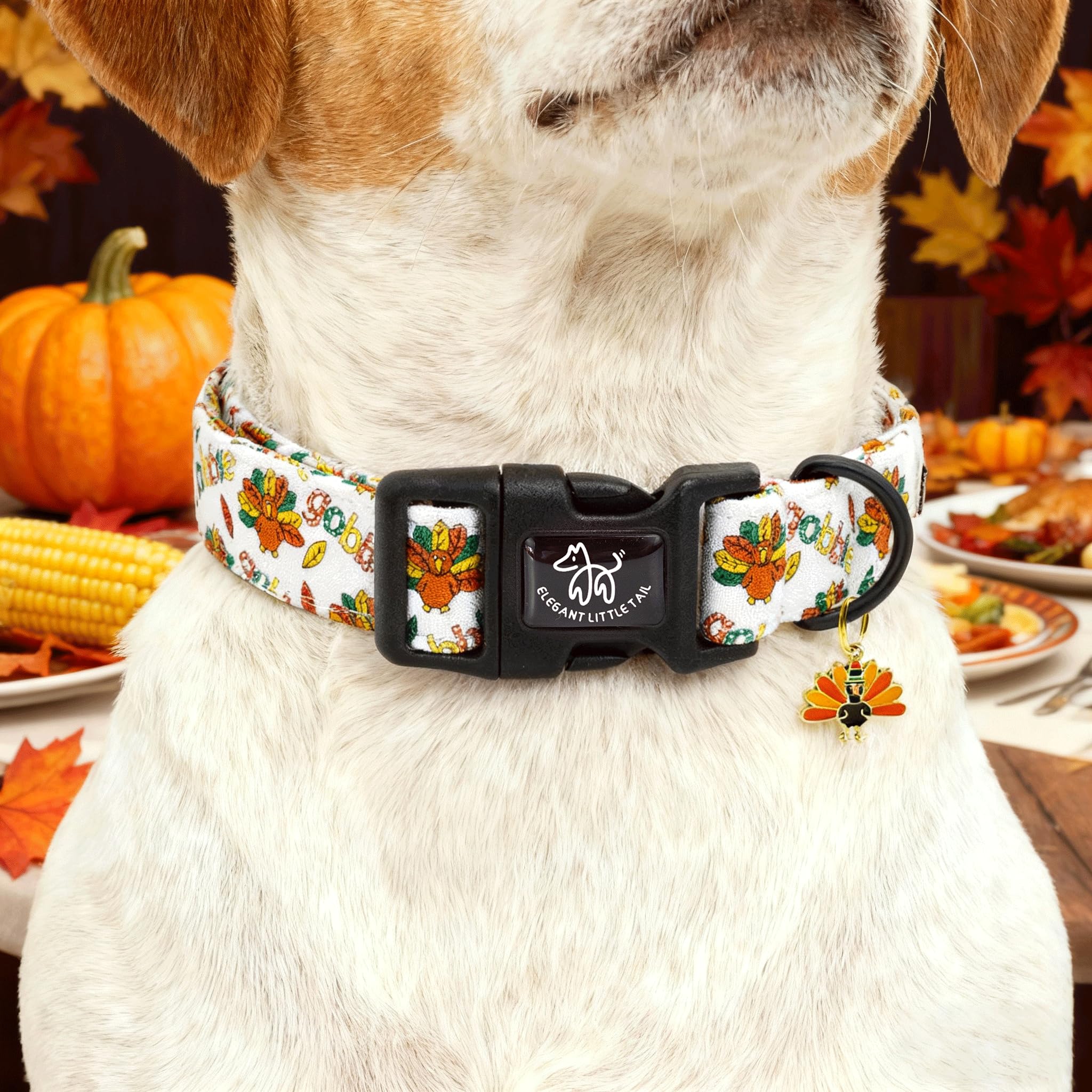 Elegant little tail collar ajuste grande, ideal para razas grandes y cuello cómodo