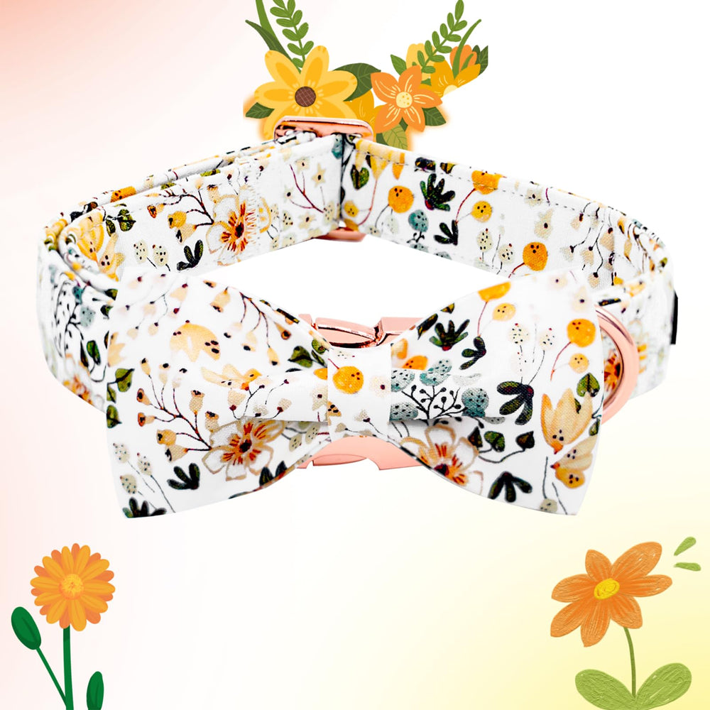 Collar Elegant Little Tail, ajuste mediano para perros de tamaño medio y ajuste cómodo.