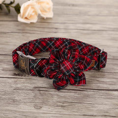 Elegant little tail collar ajustable para cuello mediano, cómodo y seguro.