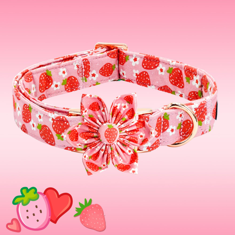 Elegant little tail collar para perros grandes, ajuste cómodo y seguro.