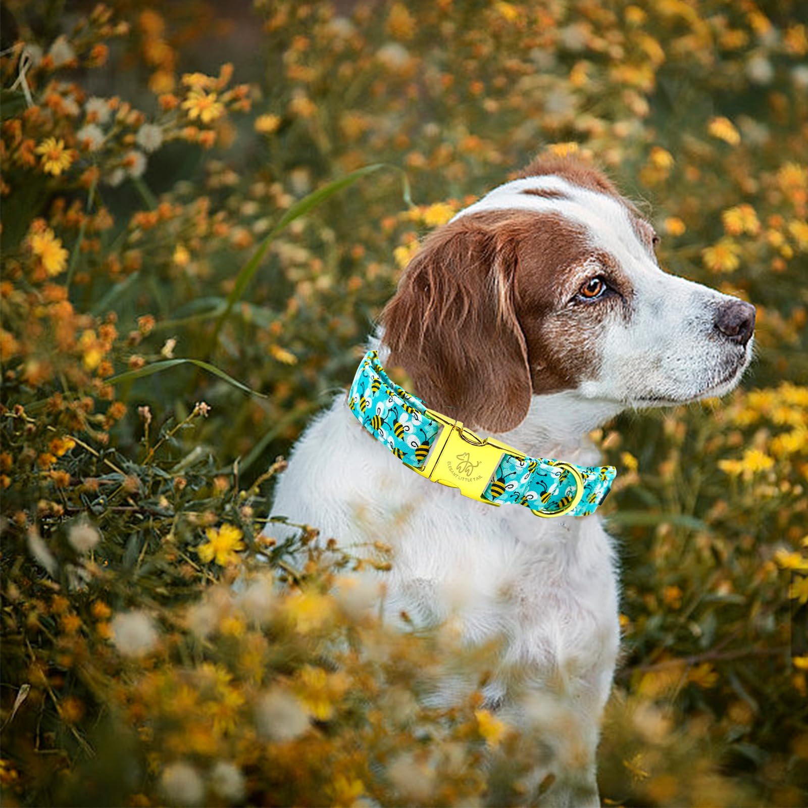 Collar Elegant little tail con ajuste cómodo para diferentes tallas.
