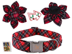 Elegant little tail collar de algodón premium, suave con piel