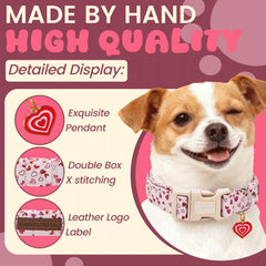 Collar de algodón suave de Elegant little tail, tacto cómodo
