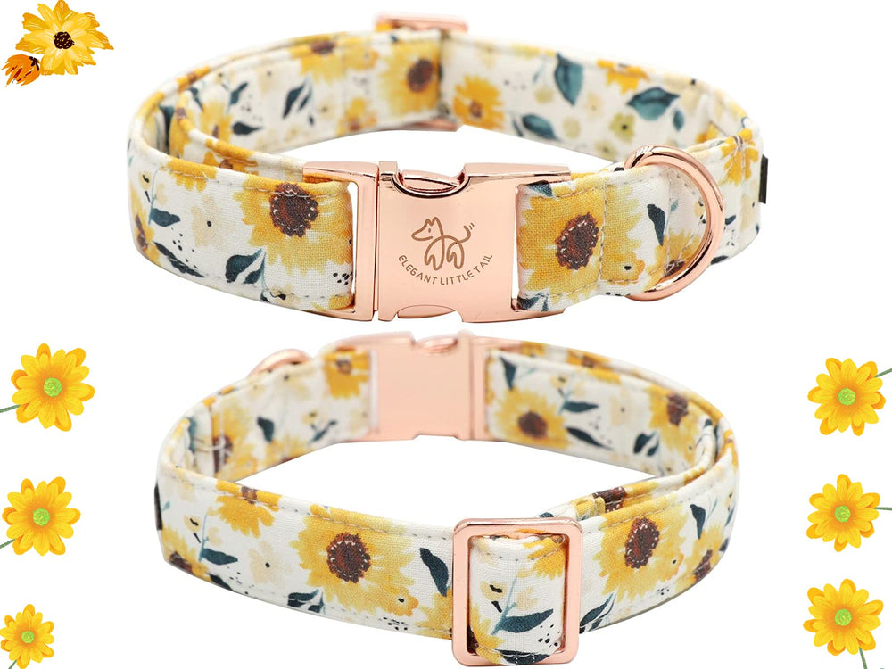 Anilla en D soldada del collar Elegant little tail para salidas seguras.