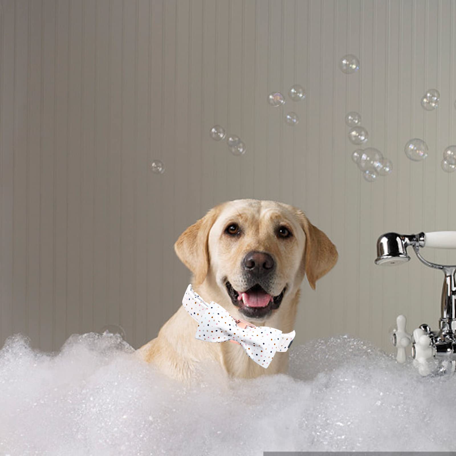 Lavado suave con agua tibia mantiene el collar Elegant Little Tail en buen estado.