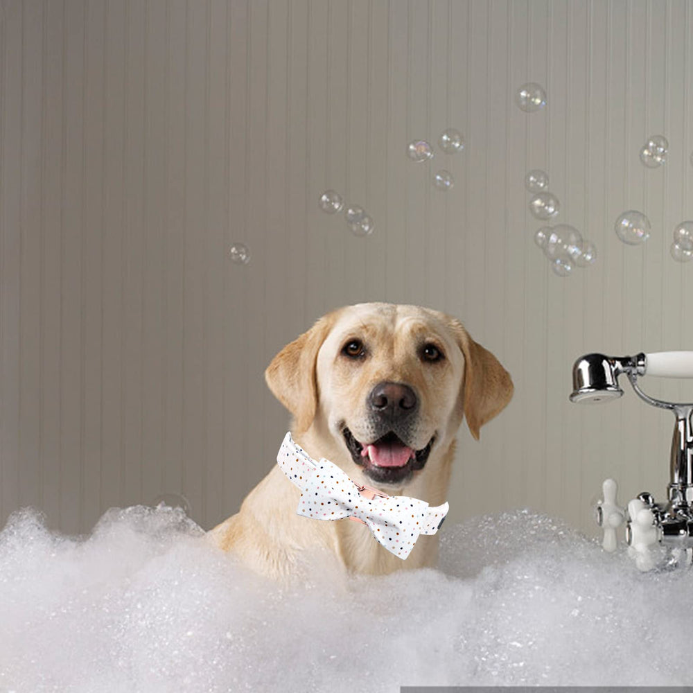 Lavado suave con agua tibia mantiene el collar Elegant Little Tail en buen estado.