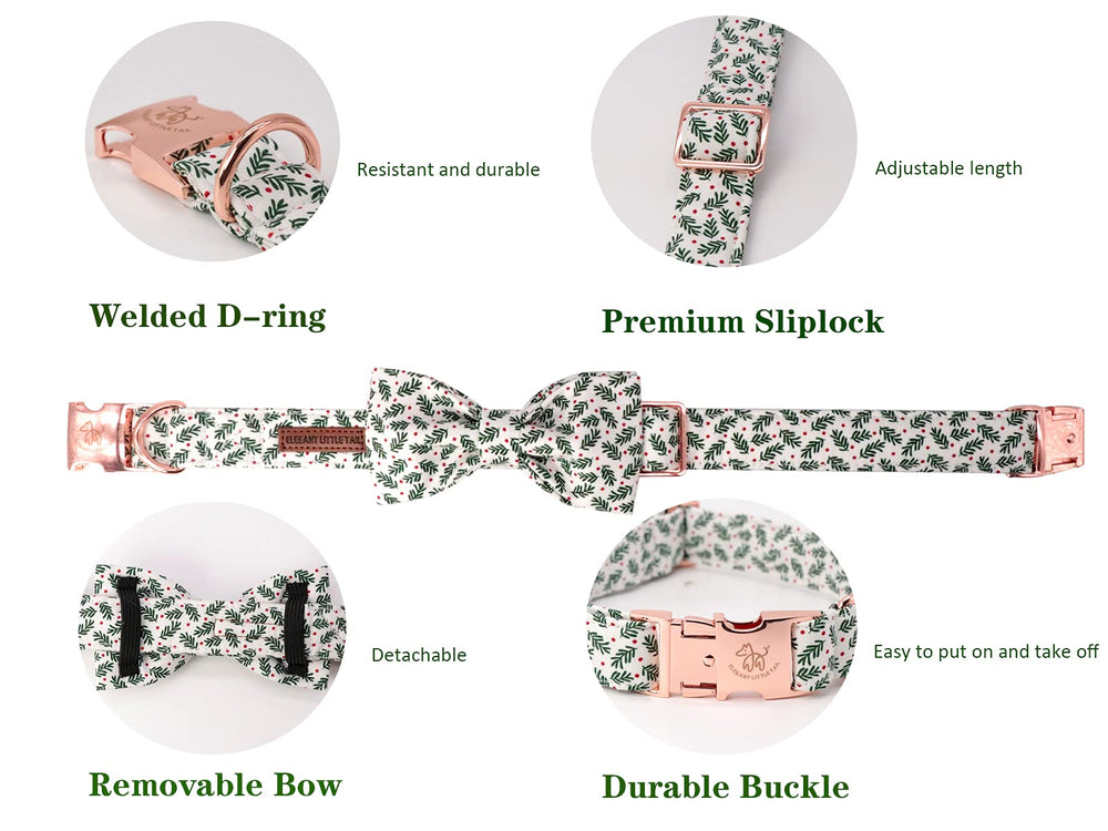 Elegant little tail collar cierre-fuerte y anilla en D para seguridad.
