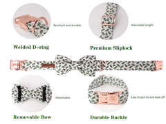 Elegant little tail collar cierre-fuerte y anilla en D para seguridad.