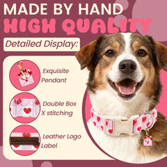 Detalle del cierre rápido ecológico del collar Elegant little tail para facilitar ponértelo.