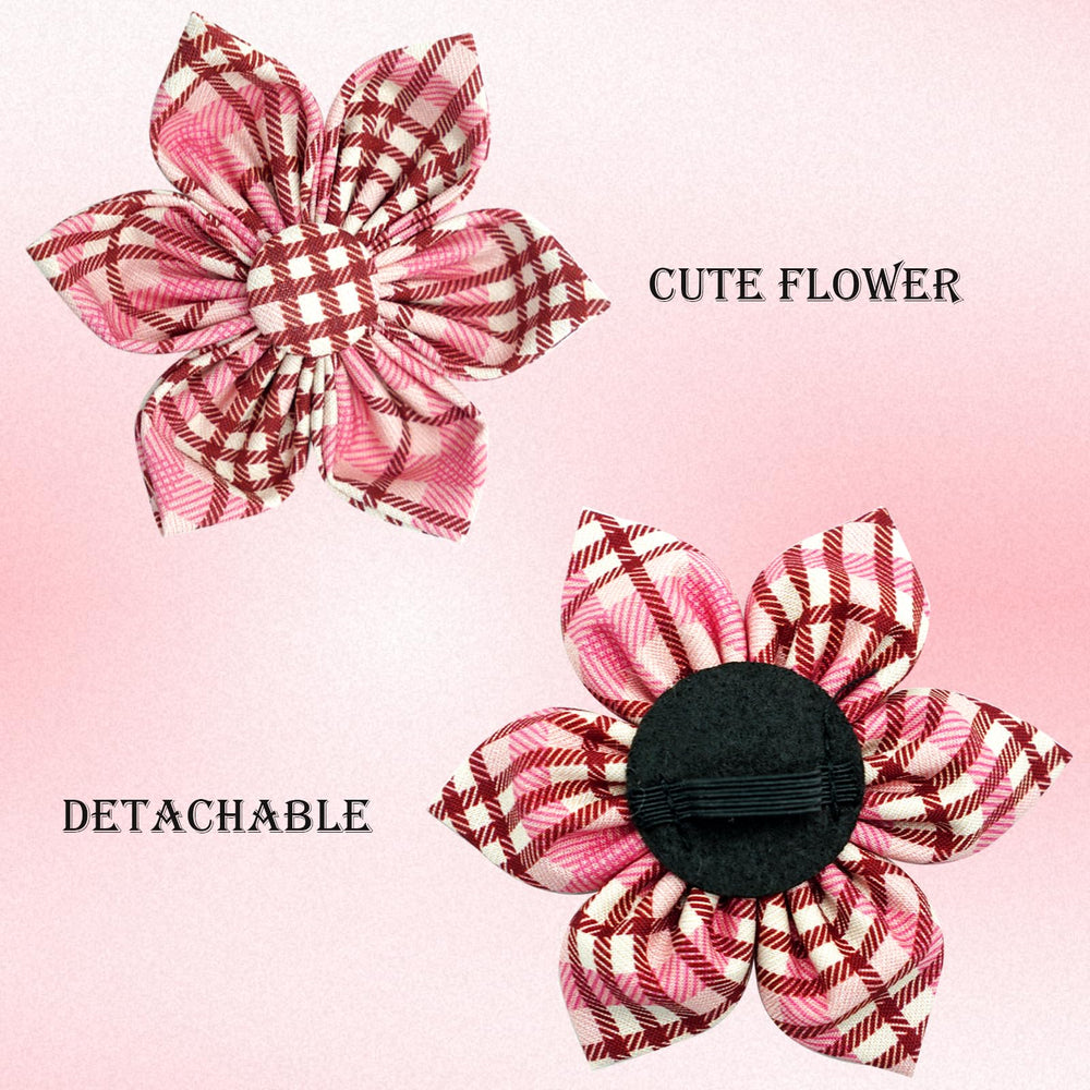 Collar Elegant little tail algodón con pespunte doble para durabilidad.
