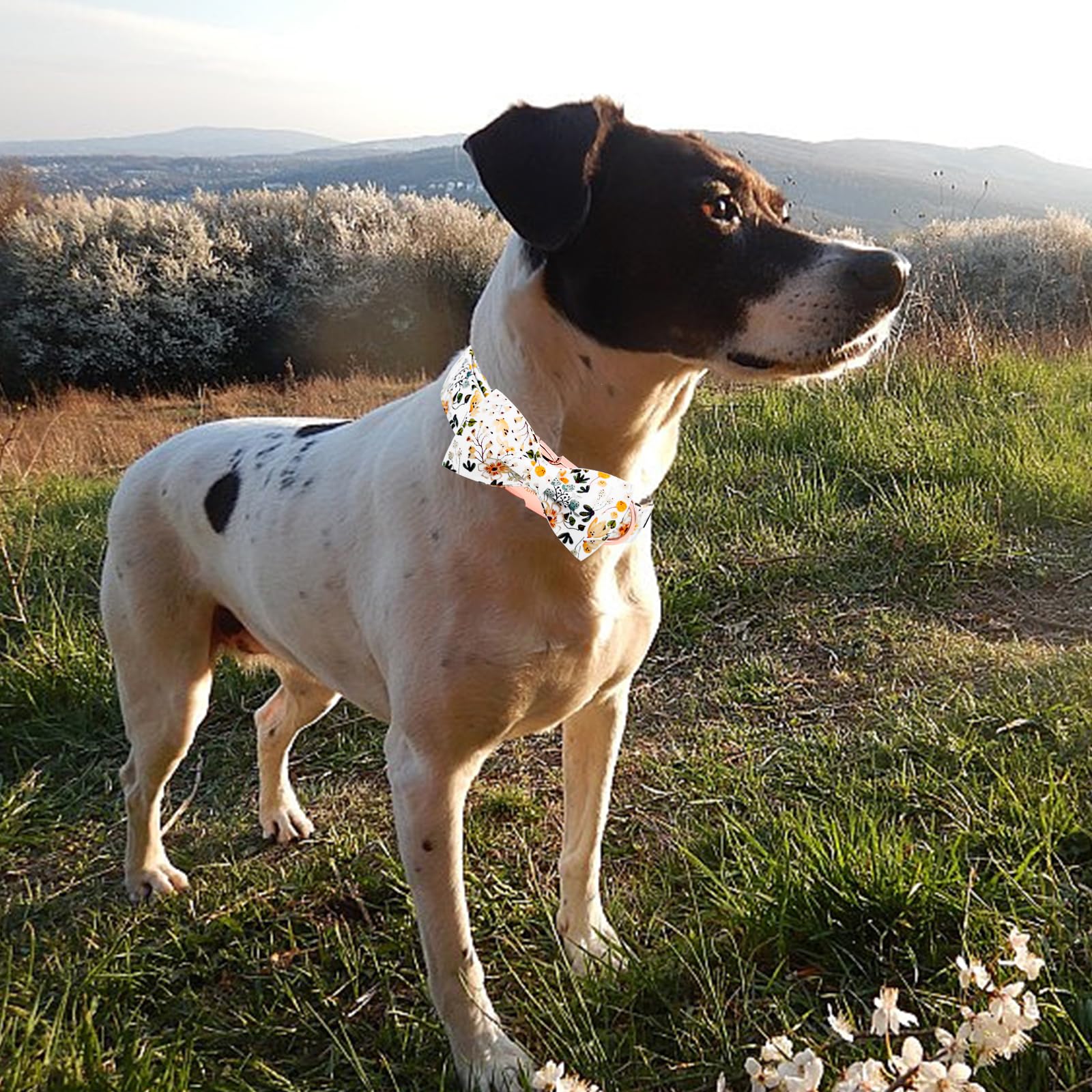 Collar Elegant Little Tail lavado a mano, cuidado fácil para mantenerlo.
