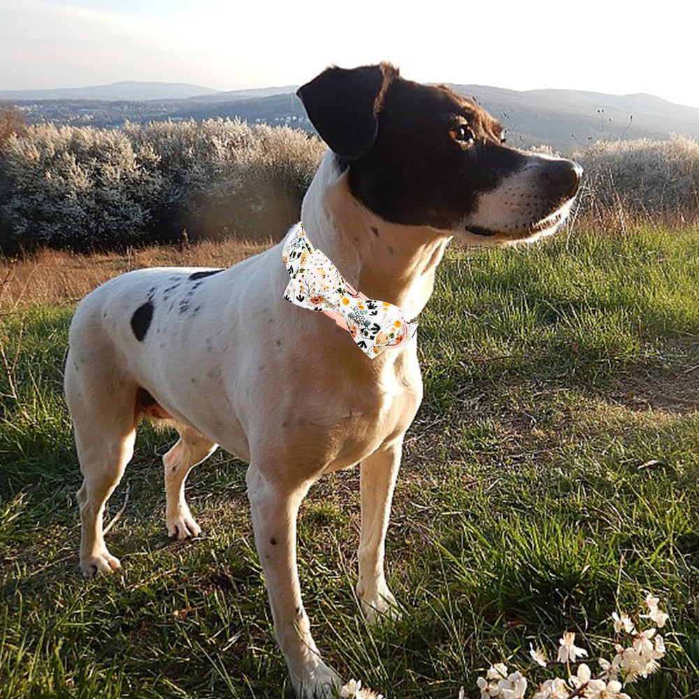 Collar Elegant Little Tail lavado a mano, cuidado fácil para mantenerlo.