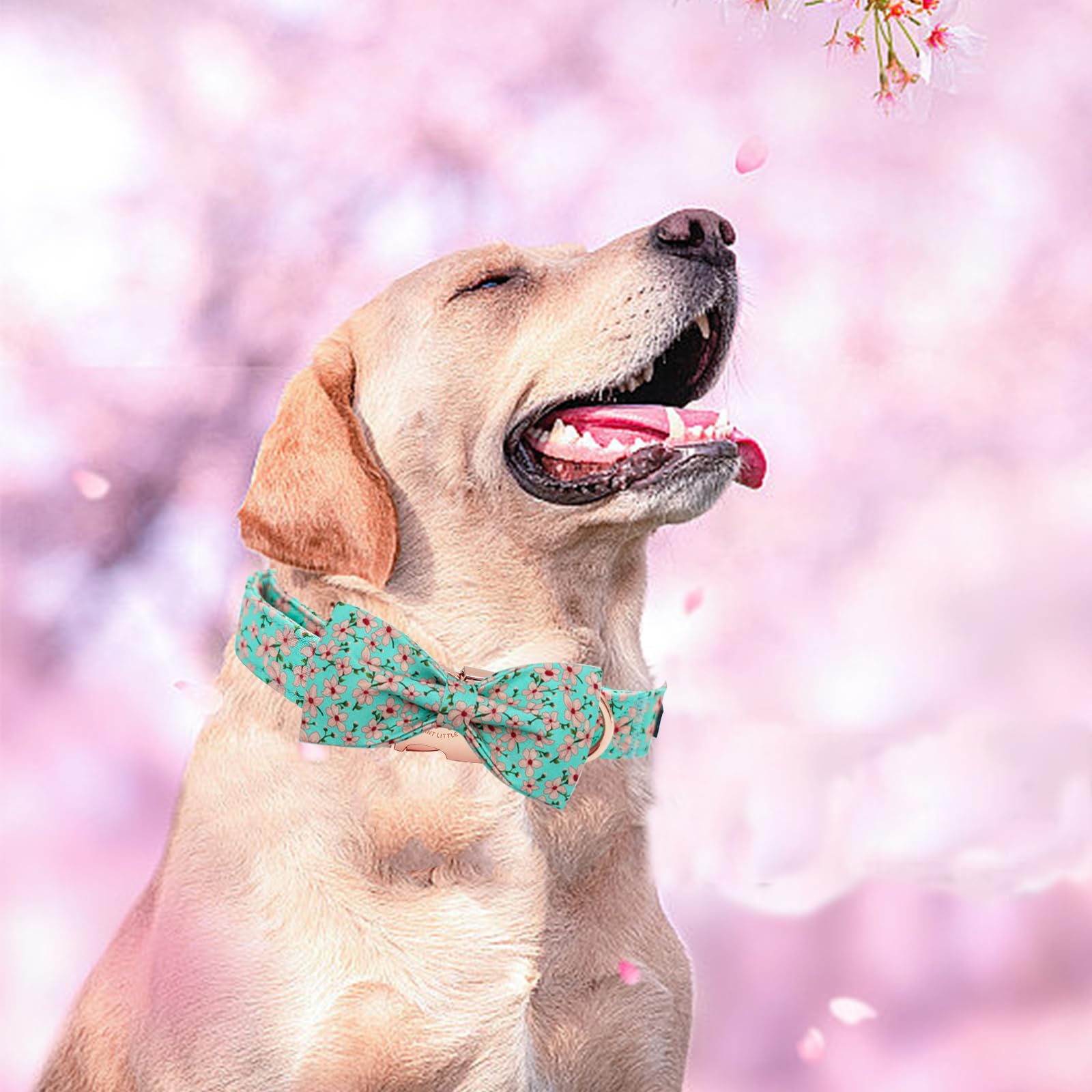 Cuidado y lavado sencillo para collar Elegant Little Tail, mantiene colores.