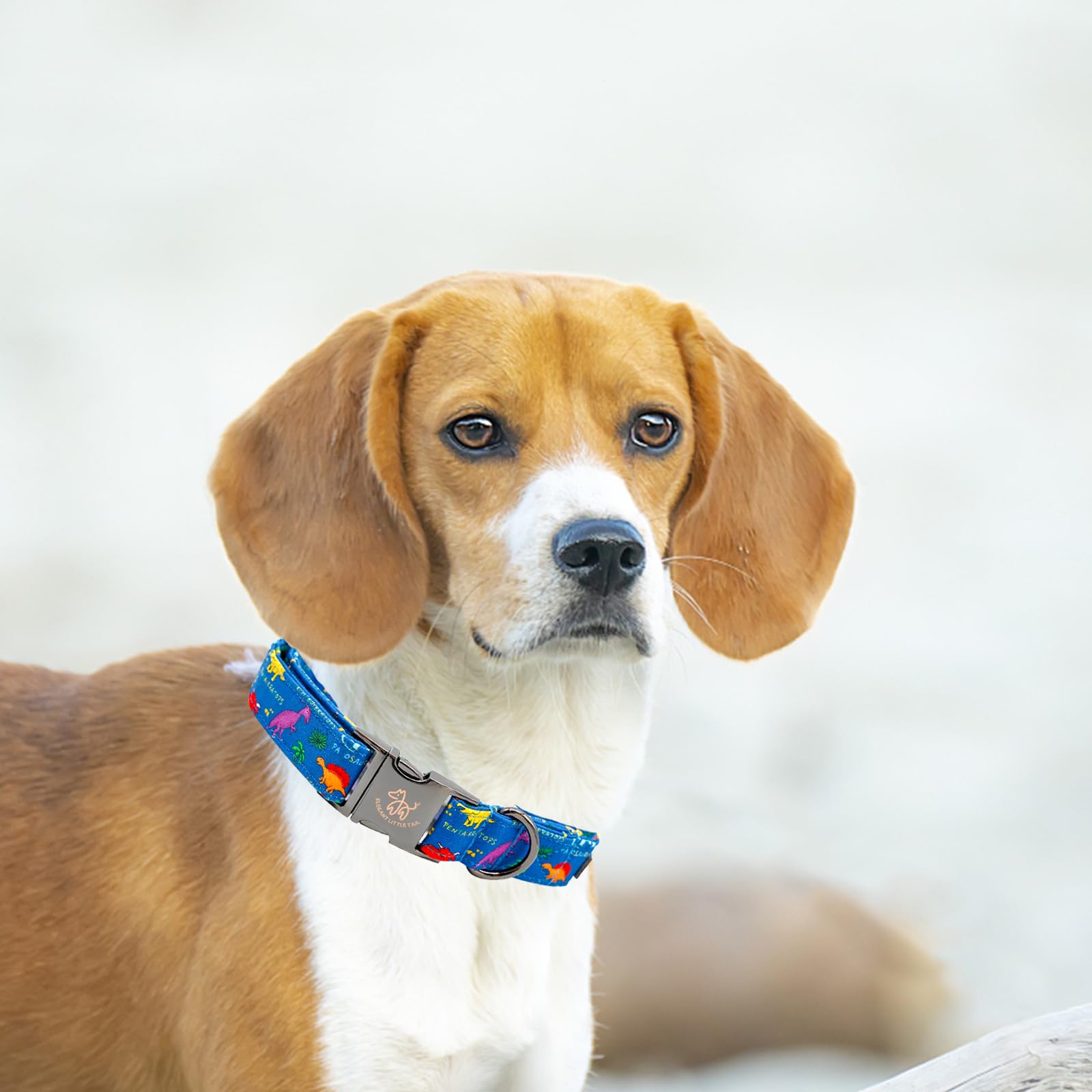 Collar Elegant little tail ajustable para perros pequeños y seguros.