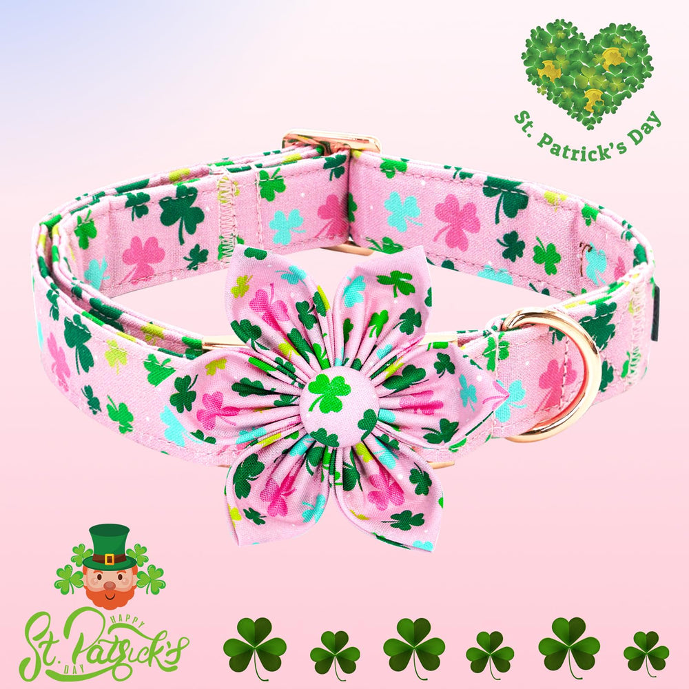 Elegant little tail diseno trifolio verde en el collar.