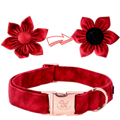 Elegant little tail collar diseno navidad: perfecto para celebraciones y fotos.