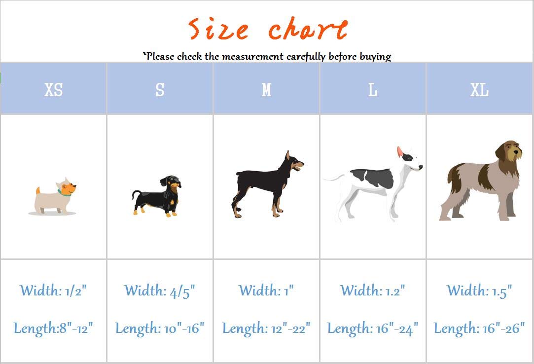 Empaque incluido de Elegant Little Tail collar para regalo.