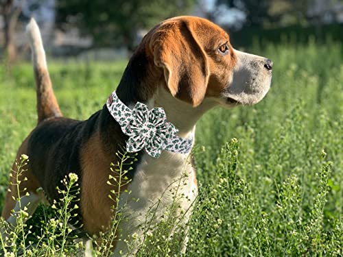 Uso en fiestas y sesiones de fotos con Elegant little tail.