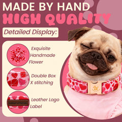 Collar con flor removible, fácil de ajustar para perros grandes