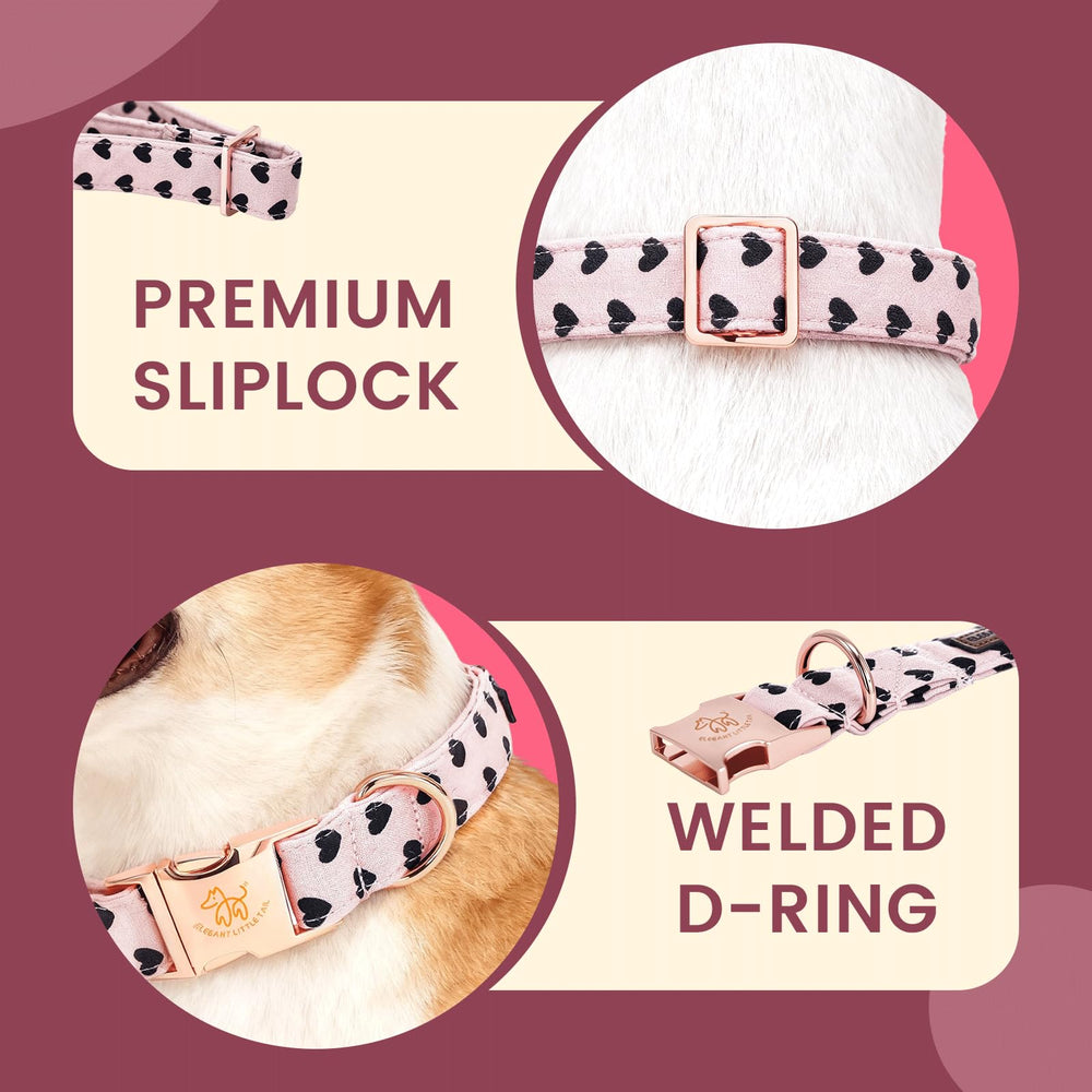 Elegant little tail collar con hebilla de metal resistente para durabilidad.