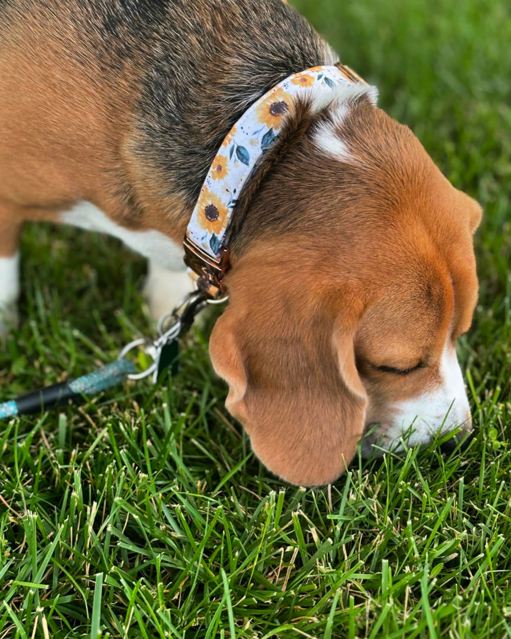 Collar de Elegant little tail lavable fácilmente con agua tibia y jabón suave.