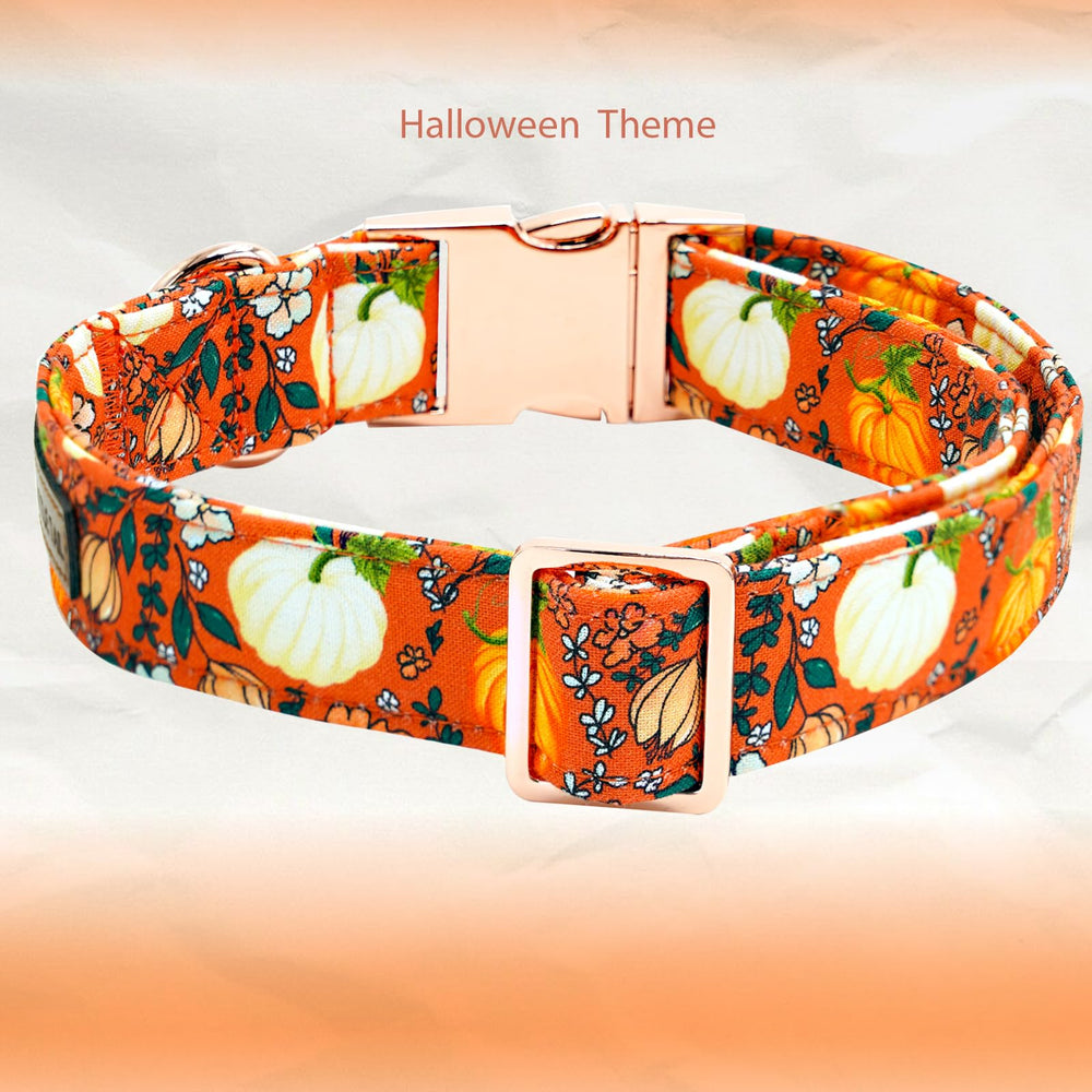 Collar Elegant Little Tail con lazo floral, para lucir elegante en eventos.