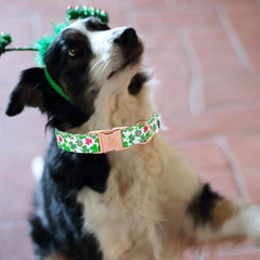 Collar Elegant Little Tail, longitud ajustable 16-24 pulgadas para perros grandes