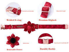 Elegant little tail collar materiales algodon: tacto suave y duradero.