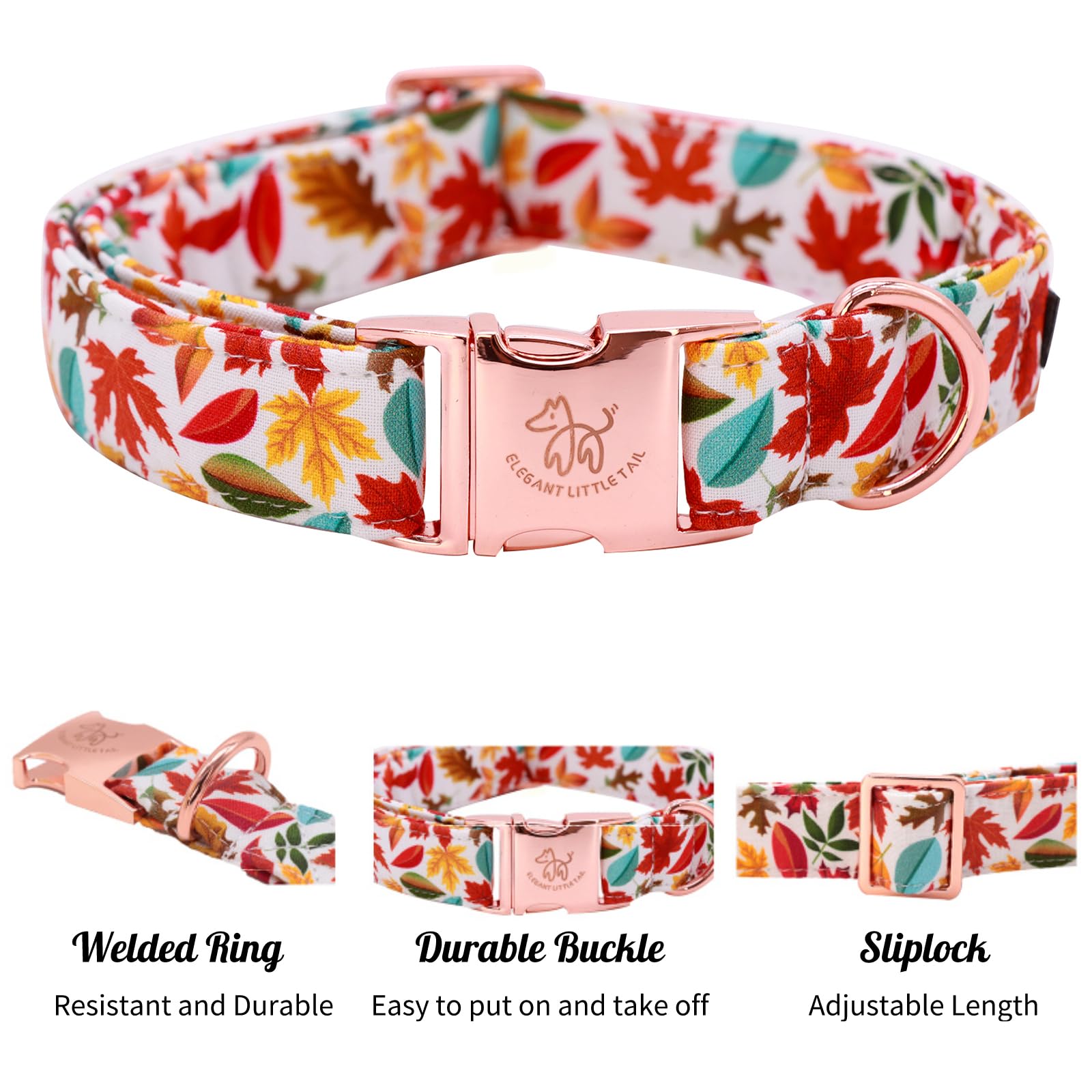 Hebilla resistente del collar Elegant little tail para uso diario.