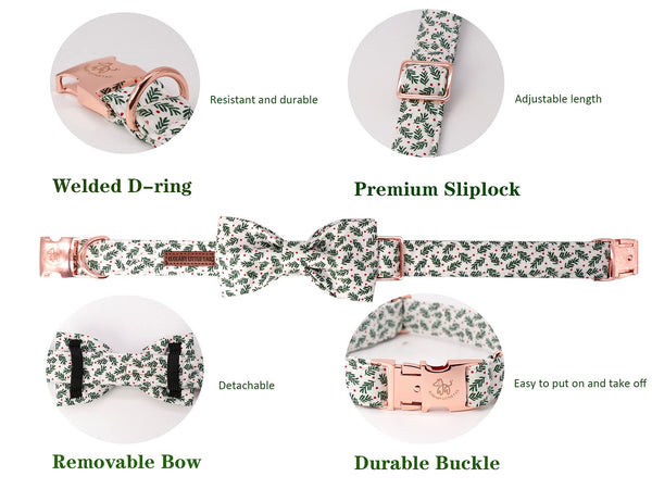 Elegant little tail collar duradero con hebilla resistente para uso diario