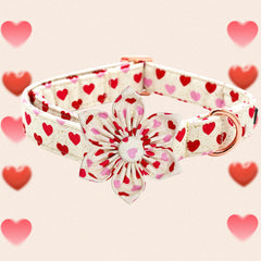 Elegant little tail collar flor removible para mayor versatilidad en paseos.