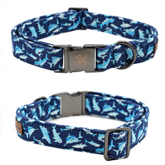  Elegant little tail collar con hebilla resistente y anilla D para seguridad