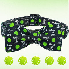 Elegant Little Tail collar hebilla resistente y anilla en D para durabilidad.