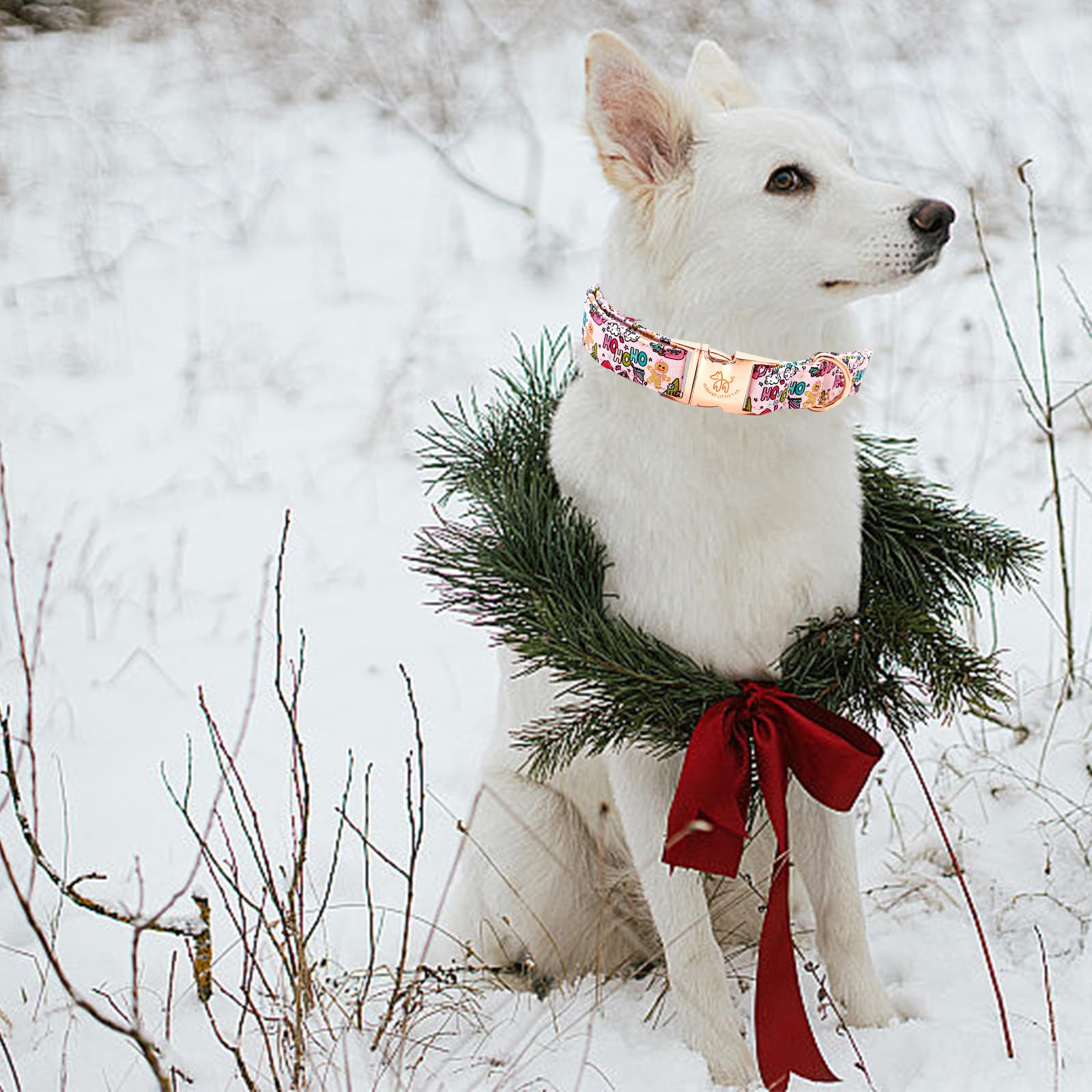 Elegant Little Tail collar perro con tallas disponibles, ajuste cómodo para cada cuello.