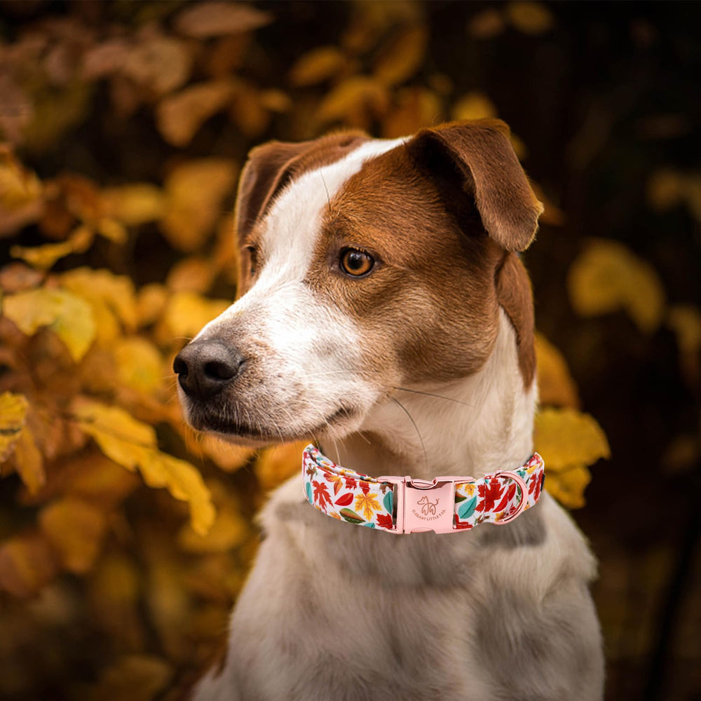 Ajuste de talla media mostrado por el collar Elegant little tail.