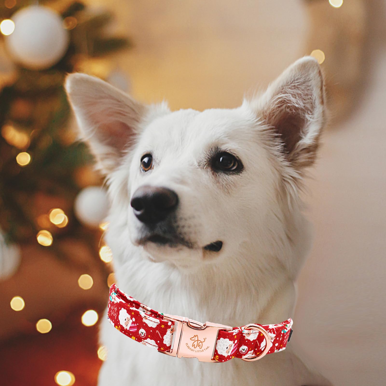 Regalo navideño para amantes de perros con el collar Elegant Little Tail.