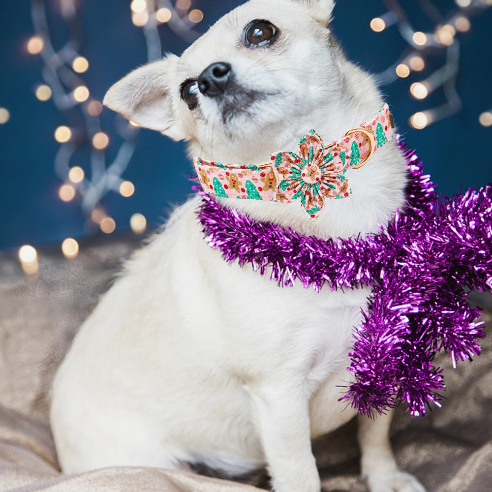 Elegant Little Tail collar navidad regalo ideal para dueños