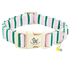 Collar Elegant Little Tail rosa con franja verde, ideal para paseos.