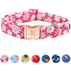 Elegant little tail collar rosa floral frente, estilo distintivo para paseos diarios.