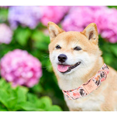 Collar Elegant little tail rosa floral con herraje resistente