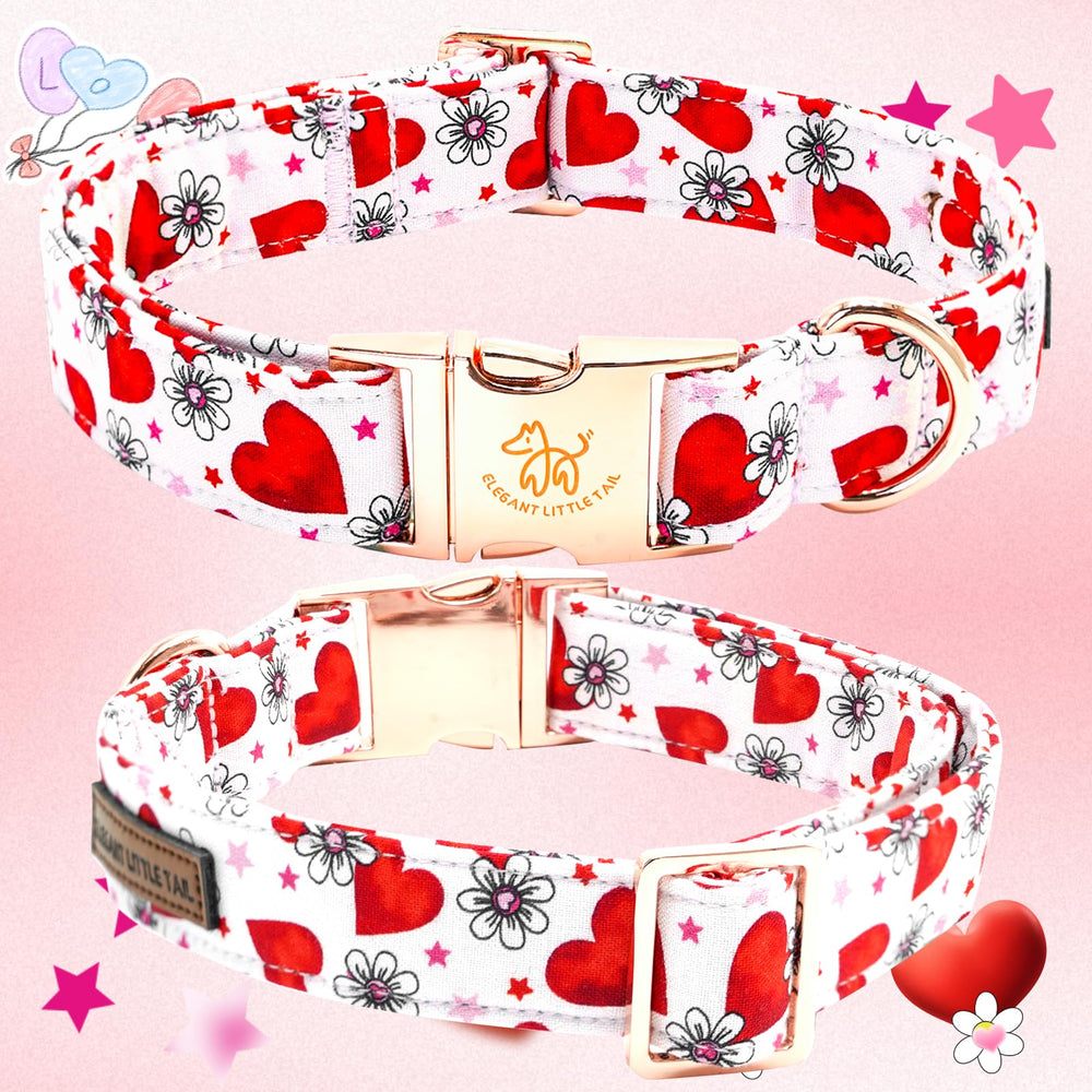 Talla 8-12 pulgadas del collar Elegant little tail
