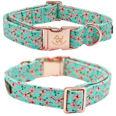Talla XS del collar Elegant Little Tail, ajuste cómodo para perros pequeños.