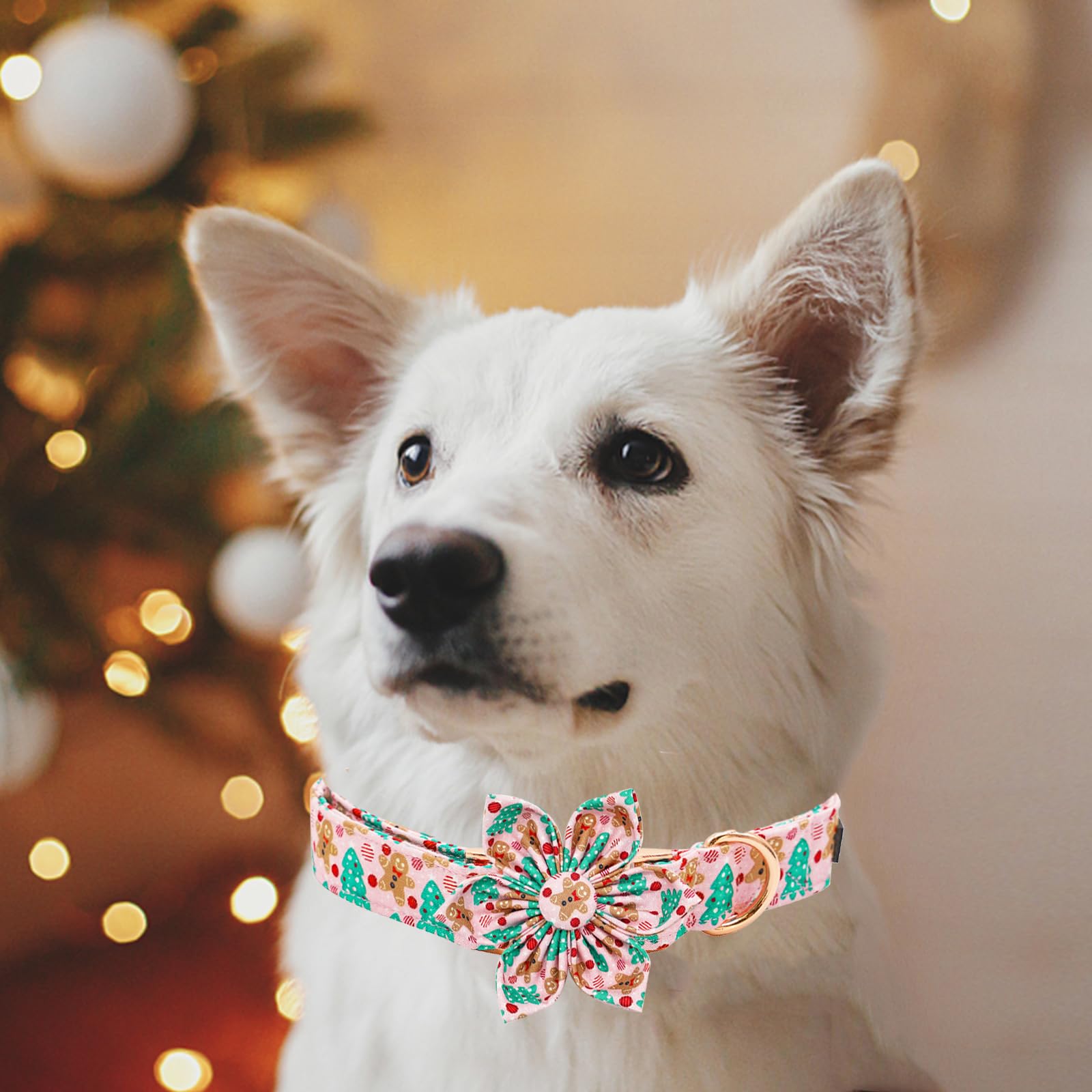 Elegant Little Tail talla XS a XL para perros pequeños