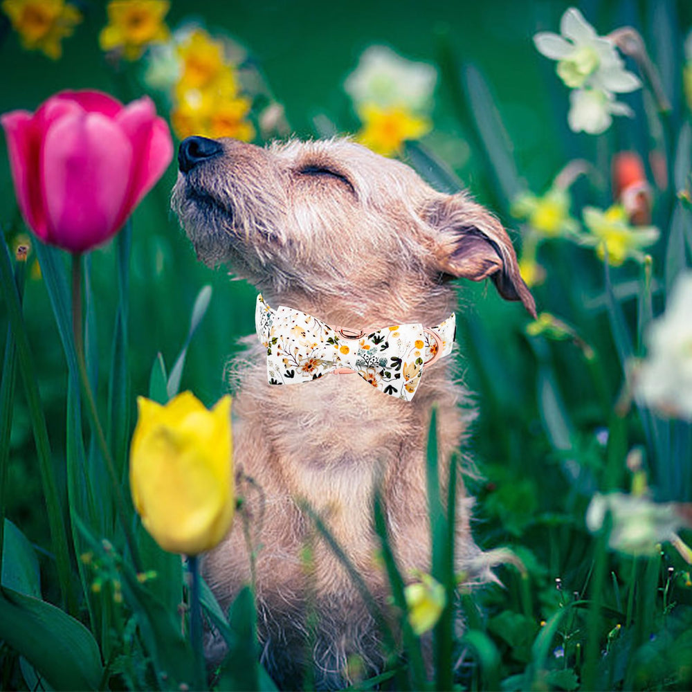 Collar Elegant Little Tail con tema primavera, colorido y alegre.