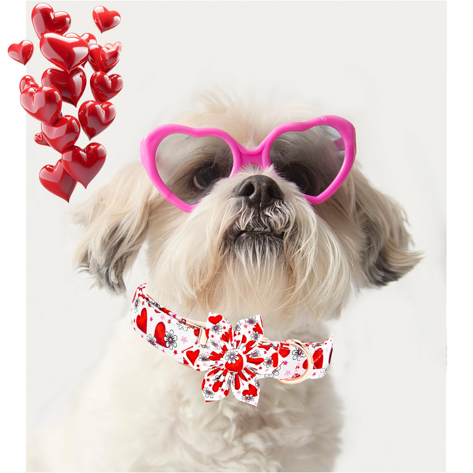 Uso diario para perros de todas las razas con Elegant little tail