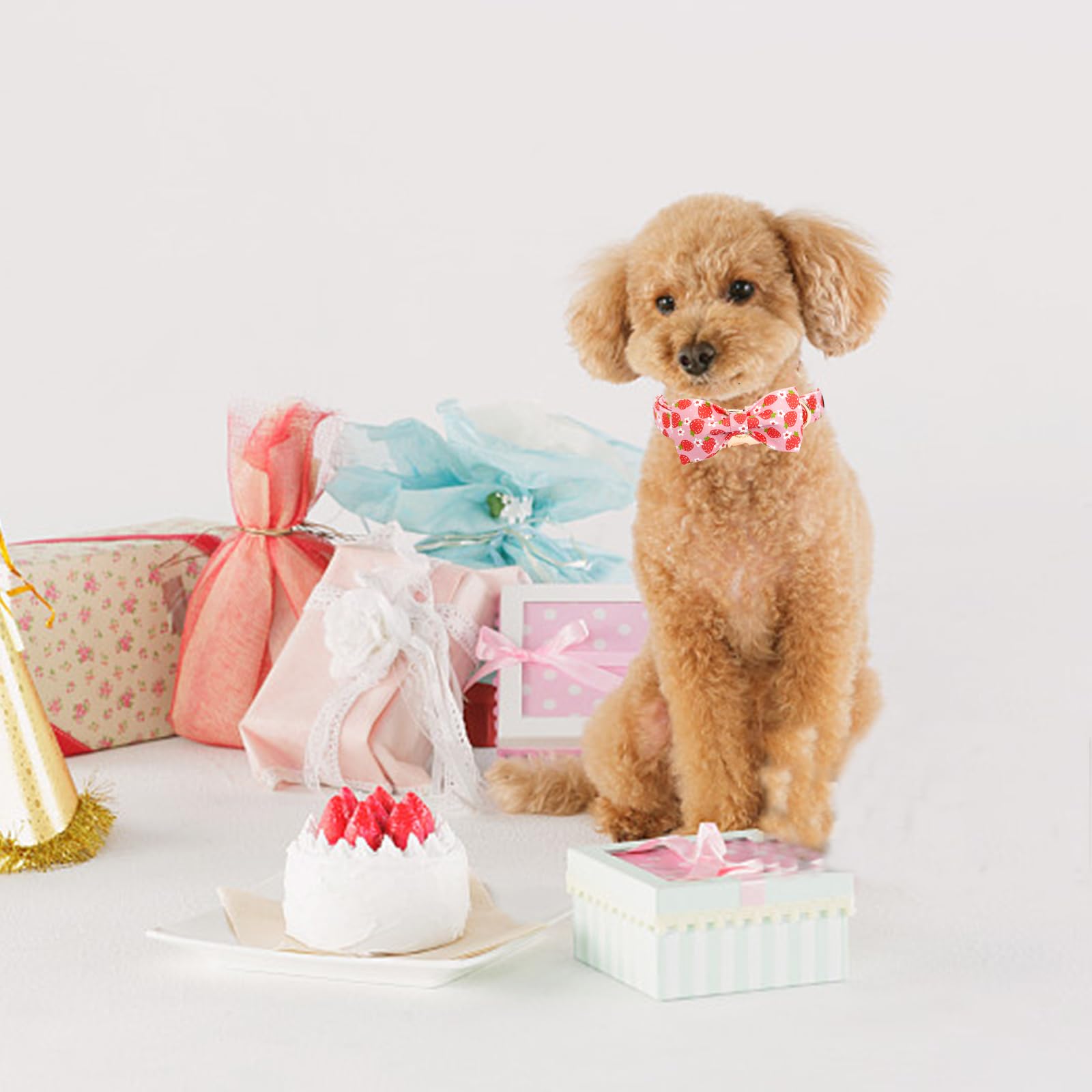 Apto para paseos, entrenamiento y celebraciones con Elegant little tail.