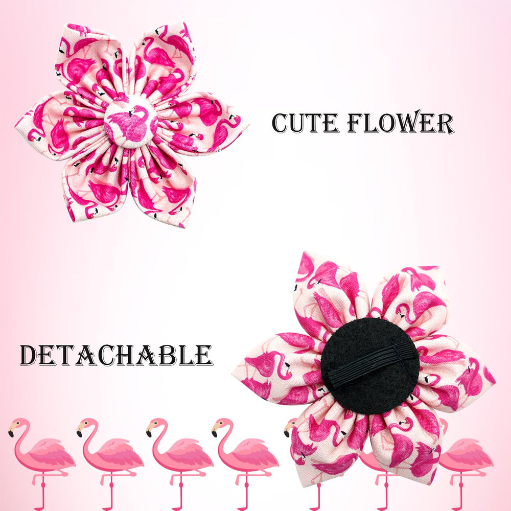 Elegant little tail diseño único de collar para destacar la personalidad